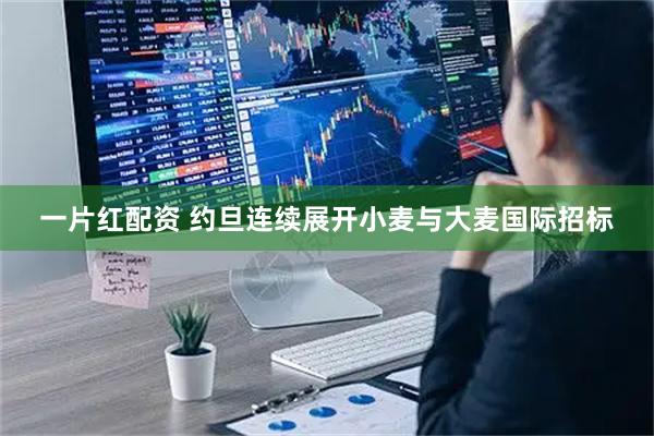 一片红配资 约旦连续展开小麦与大麦国际招标