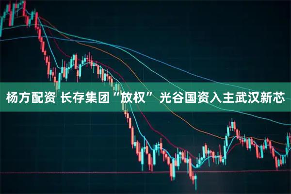 杨方配资 长存集团“放权” 光谷国资入主武汉新芯