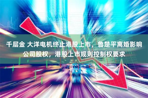 千层金 大洋电机终止港股上市，鲁楚平离婚影响公司股权，港股上市规则控制权要求